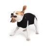 Operatie Pakje -Suitical Recovery Suit Voor Honden Zwart - Gratis Verzending -Hondenbenodigdheden 01d92be5261c9562b489db76ec55033d9bef6792