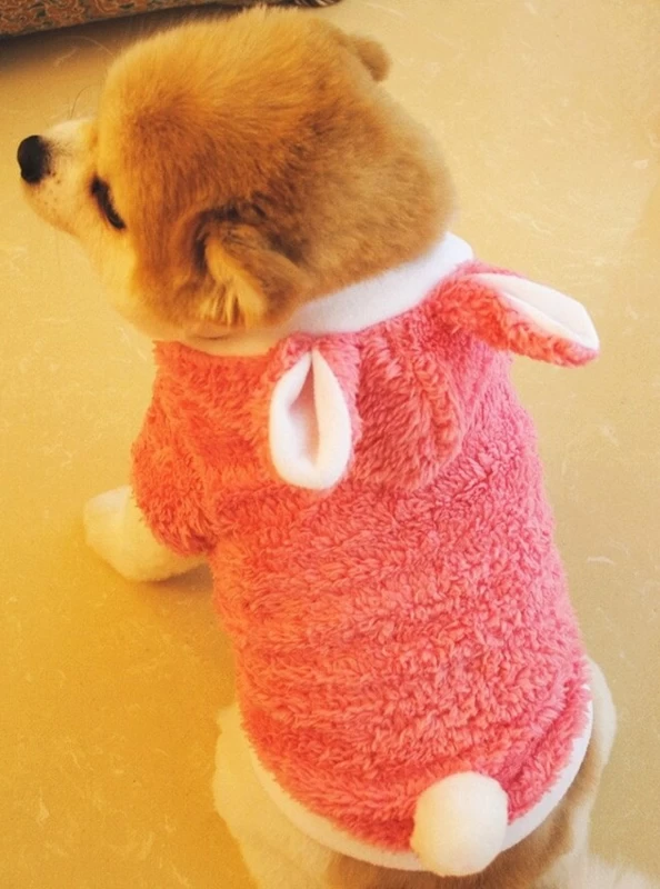 Hondentrui Roze Rabbit - Maat XS - Ruglengte 20 Cm - In Voorraad 4 Hondentrui Roze Rabbit - Maat XS - Ruglengte 20 Cm - In Voorraad - Afbeelding 2