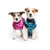 Operatie Pakje Hond -Suitical Recovery Suit Voor Honden Camouflage Blauw - Gratis Verzending -Hondenbenodigdheden 0712e447815462c0a935c93f975003a58b9d59f8 1