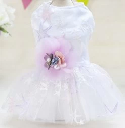 Honden Feest Jurk Queen - Medium - Ruglengte 25 Cm - In Voorraad