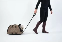 Petego Rolplatform Jet Set Zwart One-size