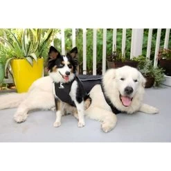 Comfy Wrap Medium - In Voorraad - Gratis Verzending