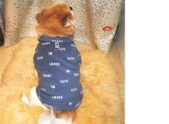 Hondentrui Cute Blauw XS T/m 3XL -Hondenbenodigdheden 25595cb50b188a0aa385744bf7680017b02ea319