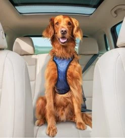 HondenautogordelDeluxe Safety Harness Petsafe - Gratis Verzending 13 HondenautogordelDeluxe Safety Harness Petsafe - Gratis Verzending -Hondenbenodigdheden 2b9801faf0634c75ac224c55b643c0834e3ac54f