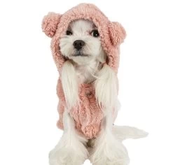 Hondenjas Puppy Angel Bbobbo Hoodie Roze S/M - Ruglengte 25 Cm- In Voorraad -Hondenbenodigdheden 31d7ffce5679c08d315c3efd739de13e303284a6
