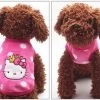Honden Fleece Trui Poes - Maat XS - Ruglengte 20 Cm - IN VOORRAAD -Hondenbenodigdheden 3304011a3aa6ef5f275de4ba087441db2554a3bb