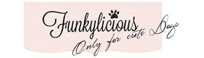 Funkylicious Cameo BlackHalsband XS - Nekomvang 18-22 Cm - In Voorraad 4 Funkylicious Cameo BlackHalsband XS - Nekomvang 18-22 Cm - In Voorraad - Afbeelding 2