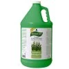 Aromacare Eucalyptus Shampoo 3,8 Ltr - Verfrissend