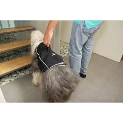 Comfy Wrap Medium - In Voorraad - Gratis Verzending -Hondenbenodigdheden 4a1d7082ae2e8d420ba8e7c1c553c6db6f2ff499