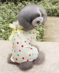 Hondenpakje Dots Geel - Large - Ruglengte 30 Cm - In Voorraad