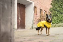 Hondenregenjas RukkaPets Stream Raincoat Geel 12 Hondenregenjas RukkaPets Stream Raincoat Geel -Hondenbenodigdheden 65a8162285b61d55574941dbe4cf3f7421203d5e