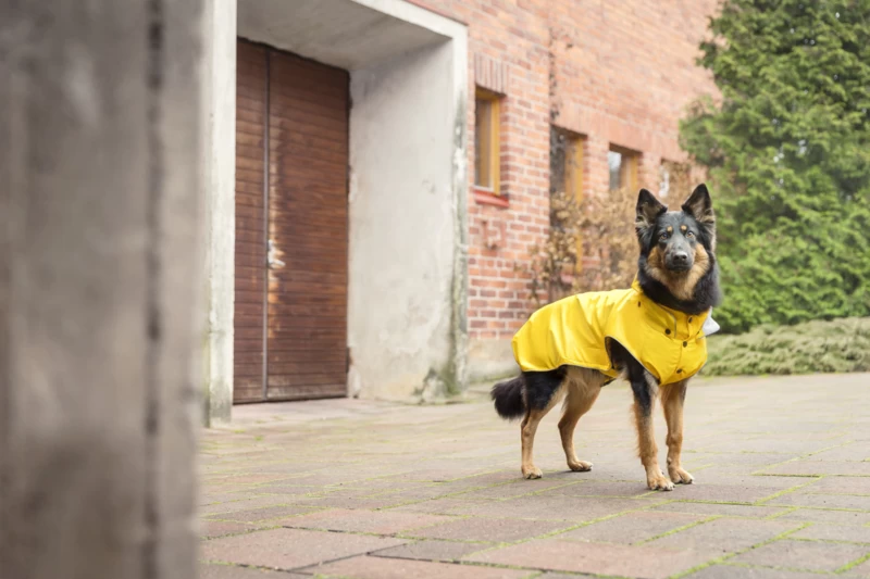 Hondenregenjas RukkaPets Stream Raincoat Geel 6 Hondenregenjas RukkaPets Stream Raincoat Geel - Afbeelding 4