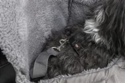 TRIXIE HONDENTAS BUIKDRAGER MOLLY GRIJS 25X17X38 CM- In Voorraad -Hondenbenodigdheden 68991e2ac735557bb7c9583cab84fedd7b042b44