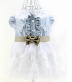 Hondenjurkje Lace - Small - Ruglengte 20 Cm - In Voorraad