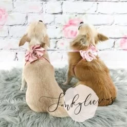 Hondentuigje FunkyliciousBigBow Roze Small- Borstomvang -36-40 Cm - In Voorraad -Hondenbenodigdheden 6fb451de8a26b772db39a6ff8968b9a9b9d809fe