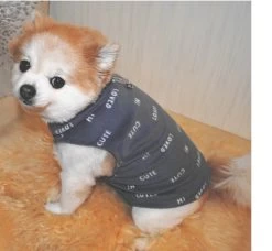 Hondentrui Cute Blauw XS T/m 3XL -Hondenbenodigdheden 7288d6a2c17bda6a0ced8882369b3c64d11317df