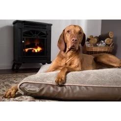 Orthopedische Ligkussen Scruffs Chateau Memory Foam Plush Latte - Gratis Verzending 10 Orthopedische Ligkussen Scruffs Chateau Memory Foam Plush Latte - Gratis Verzending -Hondenbenodigdheden 7a8d9c068d9497dfcf673ecb4934a8b98ee360e1