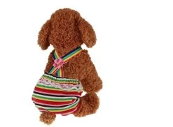 Loopsheidbroekje Streep XLarge - Ruglengte 35-38 Cm - In Voorraad