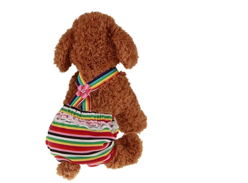 Loopsheidbroekje Streep XLarge - Ruglengte 35-38 Cm - In Voorraad 3 Loopsheidbroekje Streep XLarge - Ruglengte 35-38 Cm - In Voorraad