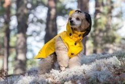Hondenregenjas RukkaPets Stream Raincoat Geel 13 Hondenregenjas RukkaPets Stream Raincoat Geel -Hondenbenodigdheden 84980efbdc0f6054487a03917c3ef8afd56ae97f
