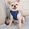 HondenautogordelDeluxe Safety Harness Petsafe - Gratis Verzending -Hondenbenodigdheden 8b882db662f4f65bae5391c9d837f107cc32f0cc