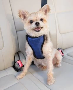 HondenautogordelDeluxe Safety Harness Petsafe - Gratis Verzending
