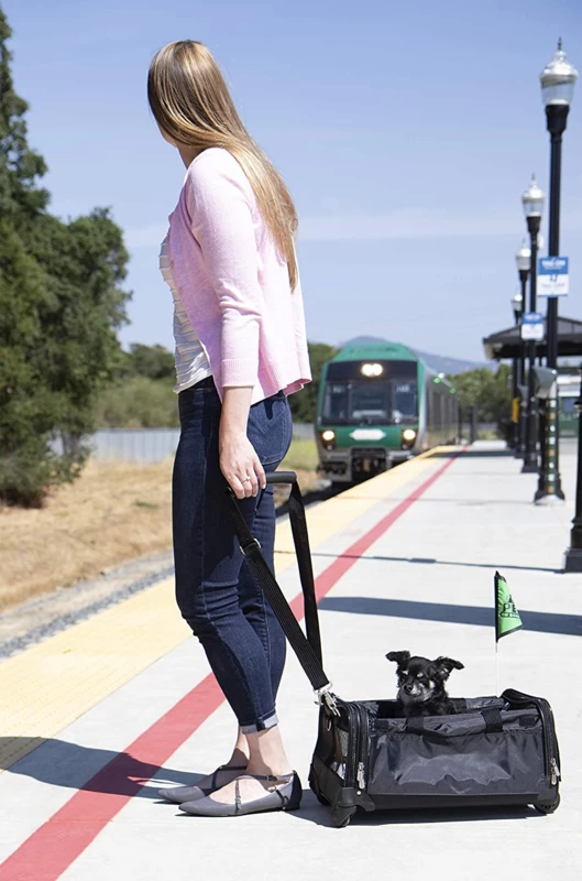 Sherpa Hondendraagtas Ultimate Polyester Zwart 50 X 31 X 26 Cm - Gratis Verzending/UITVERKOCHT 5 Sherpa Hondendraagtas Ultimate Polyester Zwart 50 X 31 X 26 Cm - Gratis Verzending/UITVERKOCHT - Afbeelding 3