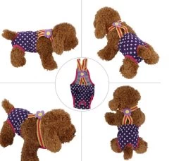 Loopsheidpakje Paars Dots XL - Ruglengte 34-38 Cm - In Voorraad