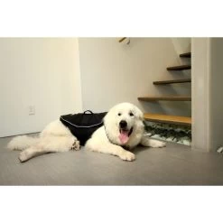 Comfy Wrap Medium - In Voorraad - Gratis Verzending -Hondenbenodigdheden 98d1fe61a8e06ee44cb1c66c7715bf7473a3d500