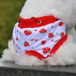 Loopsheidbroekje Rood Aardbei Large - Omvang 37-43 Cm - In Voorraad