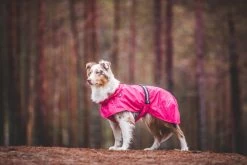 Hondenregenjas RukkaPets Hase Raincoat Roze -Hondenbenodigdheden 9bdf5f8d36aa5b845545ff941ed8176e4b1fb087