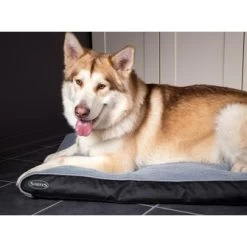 Orthopedische Hondenkussen Scruffs Chateau Memory Foam Plush Dove - Gratis Verzending -Hondenbenodigdheden 9dbbb7131da13a8e487a043c2eadb2179d3adbeb