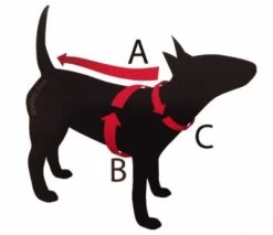 Hondenpyjama Geel Met Aardbei S T/m XXL -Hondenbenodigdheden b77acd885bce7dfee0ff8a95702b9a0edcd2b492 2