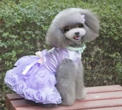 Hondenjurkje Nikki Paars - Large - Ruglengte 30 Cm - In Voorraad -Hondenbenodigdheden ba15d299782dcf93ae2bc2b8350027ef99a81f33