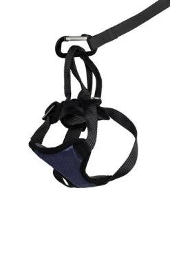 HondenautogordelDeluxe Safety Harness Petsafe - Gratis Verzending 15 HondenautogordelDeluxe Safety Harness Petsafe - Gratis Verzending -Hondenbenodigdheden be17c6e20270b2a0d0a6a616e813071d8b279932