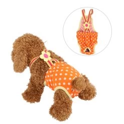 Loopsheidpakje Dots Oranje Medium - Ruglengte 26-30 Cm - In Voorraad