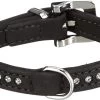 Halsband Karlie Zwart 10mm X 17-21 Cm - In Voorraad -Hondenbenodigdheden c3628185086e75640f4b70c04eac1ab337bf9f16