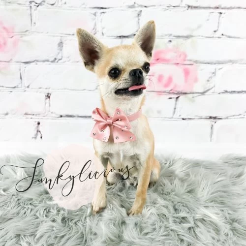 Funkylicious Halsband Roze Grote Strik Big Bow XS - Nekomvang 18-22 Cm - In Voorraad 6 Funkylicious Halsband Roze Grote Strik Big Bow XS - Nekomvang 18-22 Cm - In Voorraad - Afbeelding 4