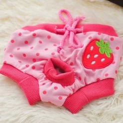 Loopsheidbroekje Roze Aardbei Small - Omvang 20-30 Cm - In Voorraad