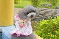 Hondenjas Fleece Roze Beer Large - Ruglengte 30-31 Cm - In Voorraad