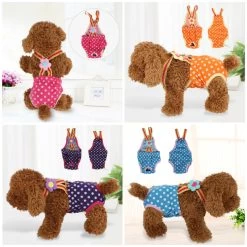 Loopsheidspakje -Hondenbenodigdheden d9416b825f7b5ba4b0039d9b09cf9a1940c31d16