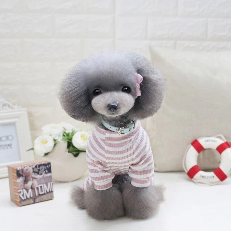 Hondenpakje Vriendschap 6 Hondenpakje Vriendschap - Afbeelding 4