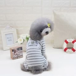 Hondenpakje Vriendschap 10 Hondenpakje Vriendschap -Hondenbenodigdheden e67cae27e8876d1c51abba3b91db0e2417ca32c0