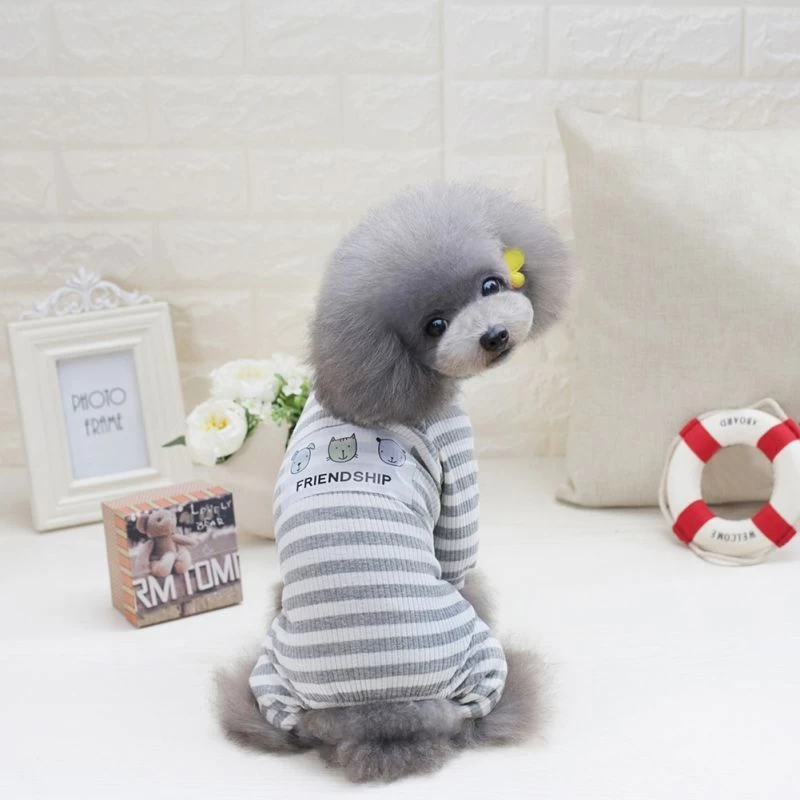 Hondenpakje Vriendschap 5 Hondenpakje Vriendschap - Afbeelding 3