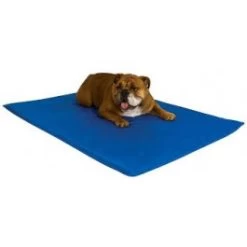 Koelmat Voor Honden 65x50cm - Gratis Verzending