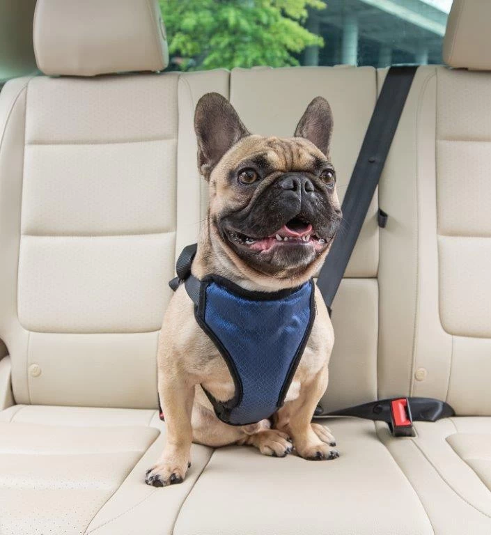 HondenautogordelDeluxe Safety Harness Petsafe - Gratis Verzending 4 HondenautogordelDeluxe Safety Harness Petsafe - Gratis Verzending - Afbeelding 2